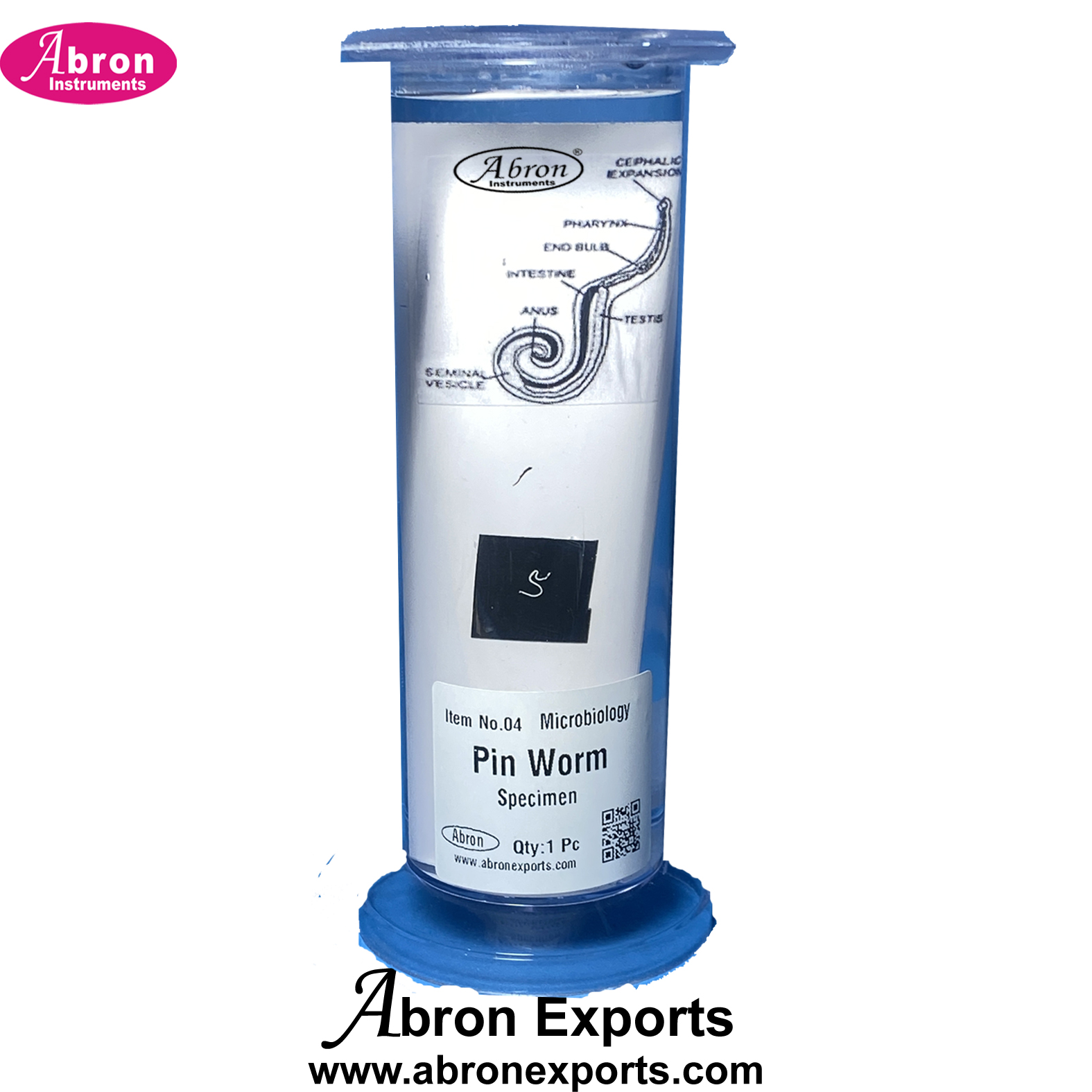 Medical College Pathology Human Parasites Pin worm Specimens in Jar preserved Abron ABM-3059PW 